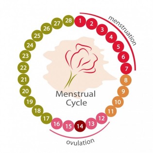 Are You Ovulating?