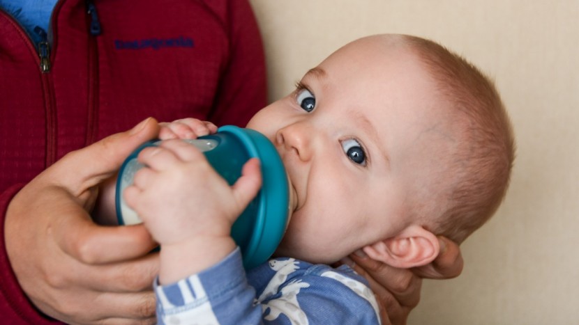 baby bottle - the boon nursh was a baby favorite for gripping.