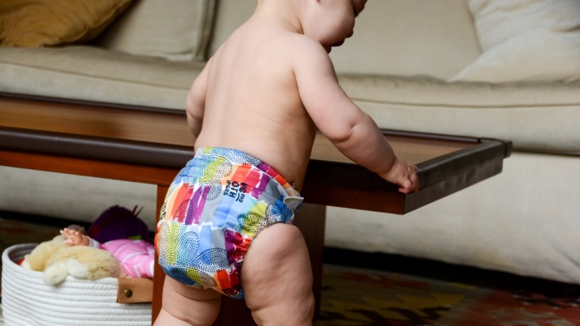 bumgenius freetime - the bumgenius freetime stands out from the competition thanks to its...