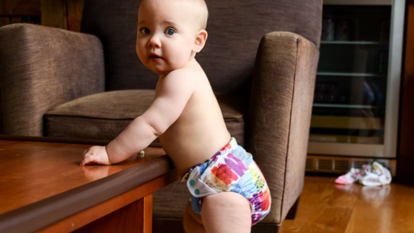 bumgenius freetime - if easy-to-use is what you are after, the bumgenius is one to...