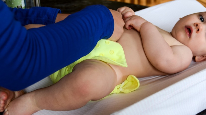 flip with stay dry insert - a double row of snaps does mean added time to each diaper change...