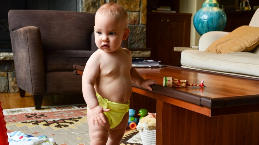 cloth diaper - the flip diaper will grow with baby until they are through their...
