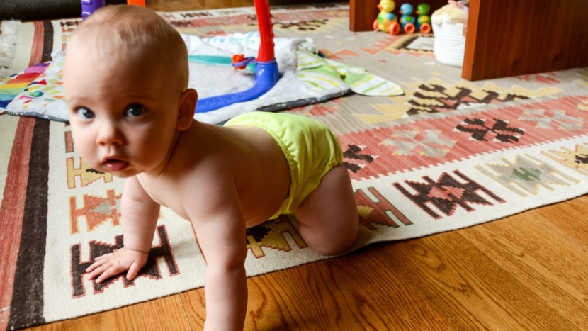 flip with stay dry insert - seen here on our baby tester, the flip appears to be only slightly...