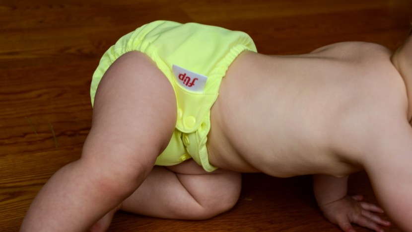 flip with stay dry insert