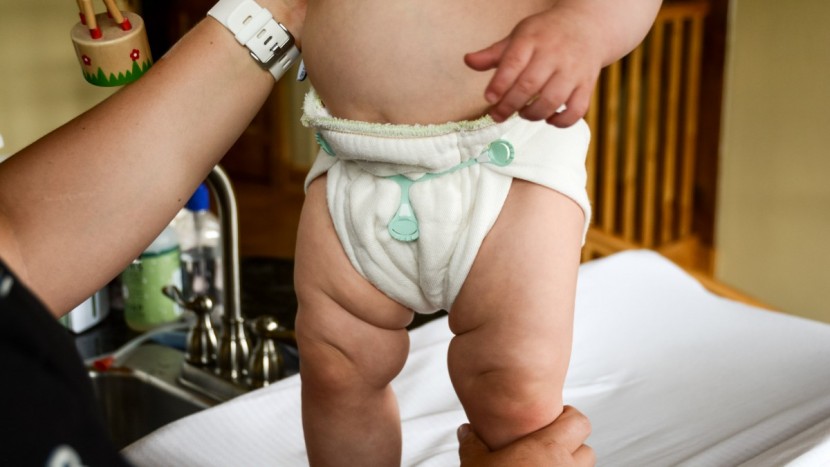 osocozy premium bamboo/organic cotton prefolds - prefolds have the advantage of infinite adjustments, allowing for a...