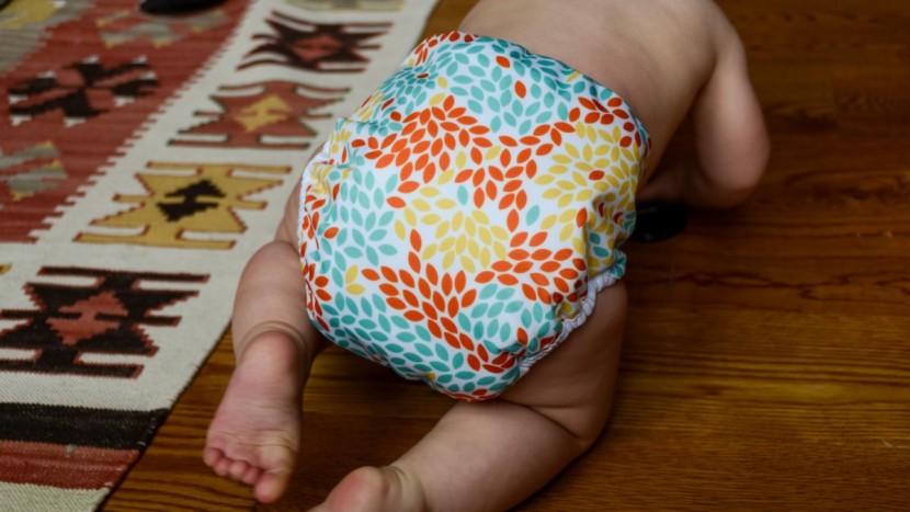 thirsties duo wrap with stay dry duo insert - thirsties has a variety of simple but adorable patterns for their...