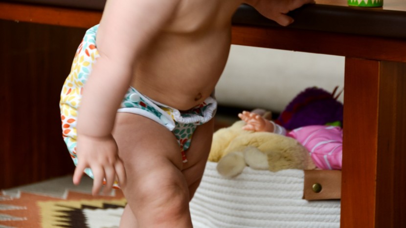 thirsties duo wrap with stay dry duo insert - we struggled to eliminate the waist gap with the thristies cover.