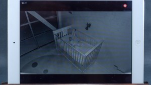 With the main field of view for the Arlo, the features are visible...