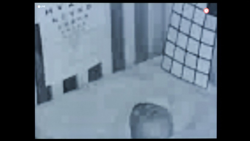 a zoomed-in image on the arlo shows muddled features and an...