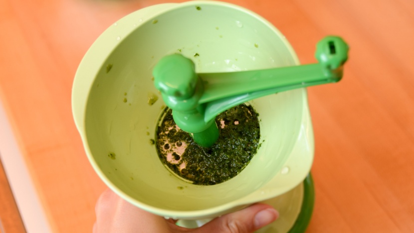 the green sprouts fresh baby food mill struggled to puree steamed...