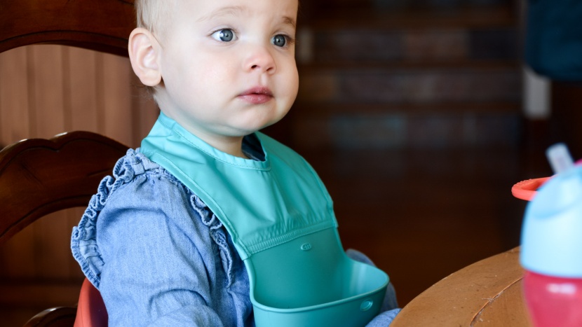 baby bib - the fabric on the oxo roll up can roll up into the silicone pocket...