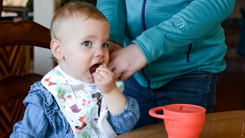 baby bib - the kiddystar toddler bib is most appropriate for a toddler, or if...