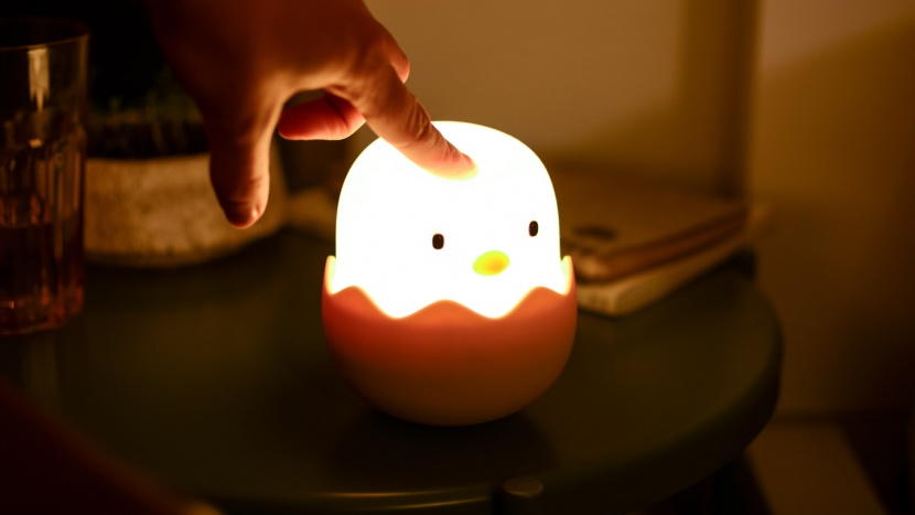 night light - some night lights are easier to use, whereas others require a...