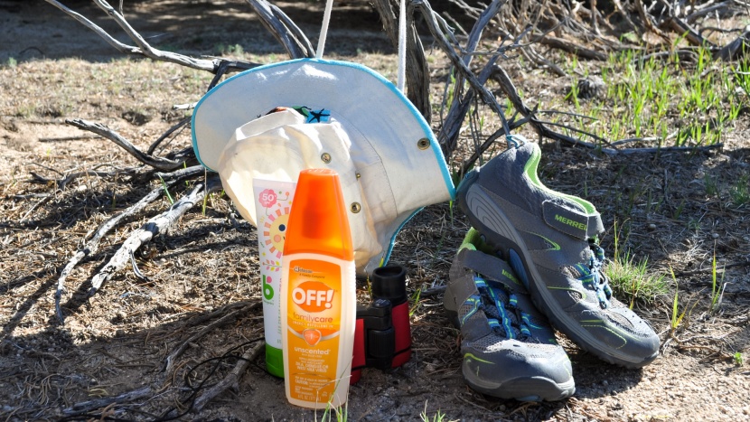 insect repellent - choosing the right kind of repellent for your adventure is key in...