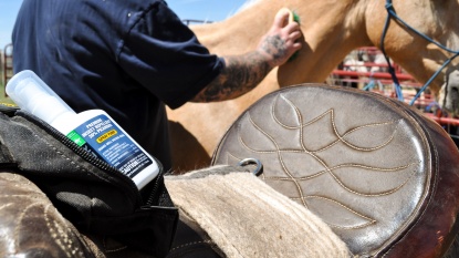 Lead photo for Best Overall Bug Spray for Kids
