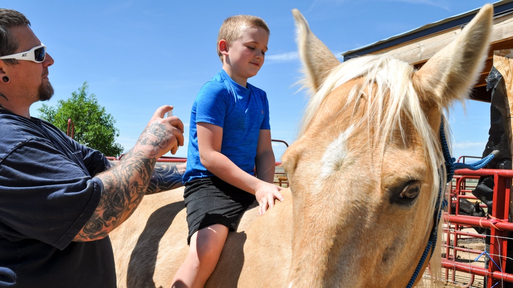 insect repellent - some chemicals shouldn&#039;t be used on or around certain pets. be sure...