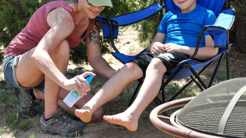 insect repellent - insect repellent should be easy to use and non-offensive to help...