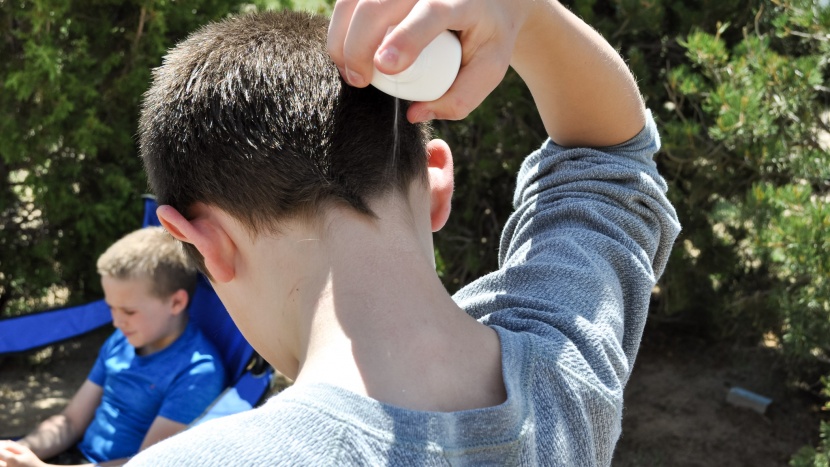 insect repellent - sprays are better than lotions for reaching those hard to reach...