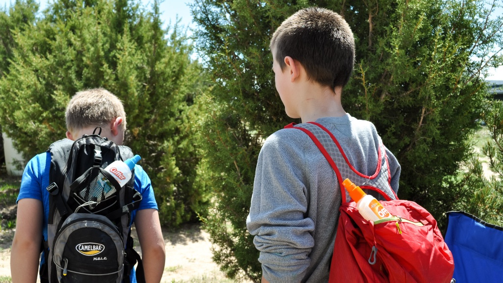 insect repellent - deet and picaridin are the top two most popular repellent types...