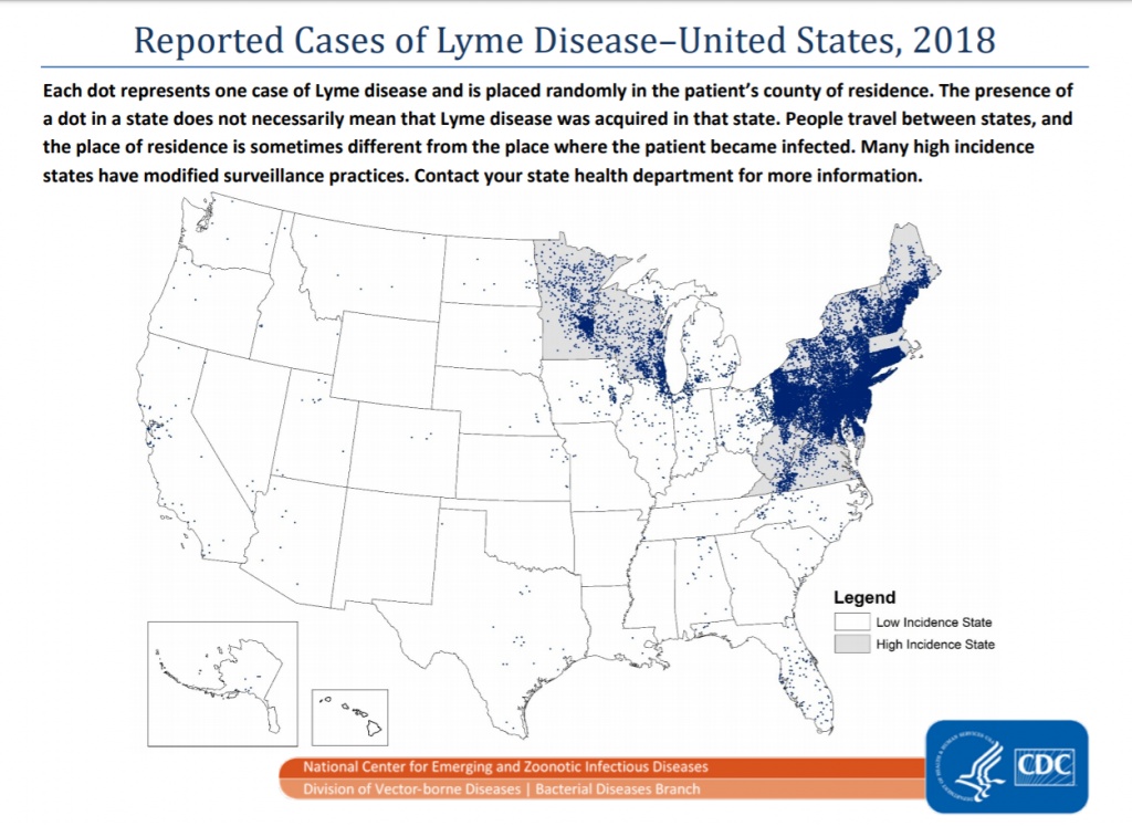 insect repellent - the center for disease control offers a plethora of information...