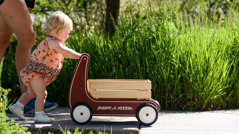 baby walker - the flyer is sturdy and stable, making it an excellent walking...