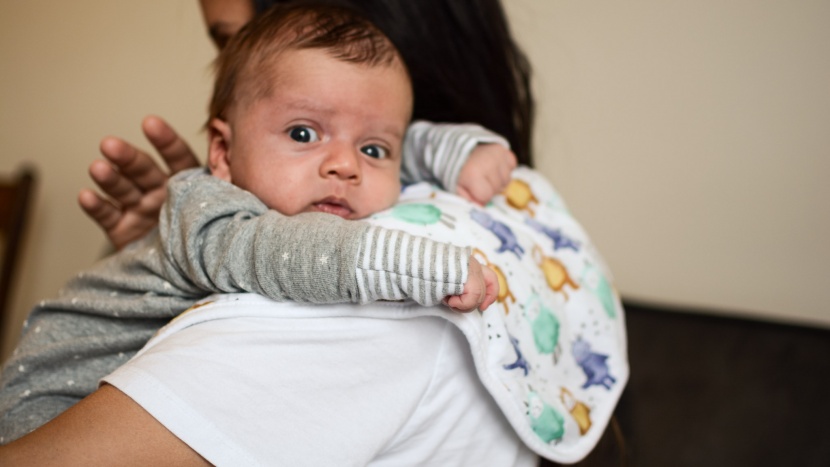 burp cloth - our research was supplemented by real-life use with 6-week-old noah.