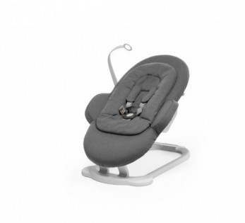 Recall Notice: Stokke Steps Bouncers