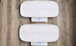 The Unicherry and Momed are identical in every way but the name of...