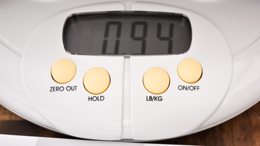 baby scale - all of the scales were accurate to each other and to our known hand...