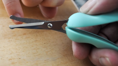 Lead photo for Best Scissor Style Clipper