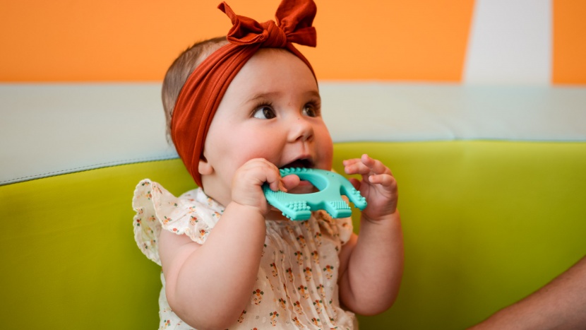 teething toy - the baby elefun teether has multiple textured biting points, and...