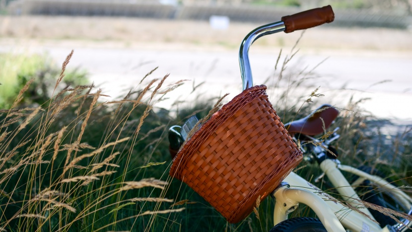the vintage comes with a basket on the front for carrying all your...