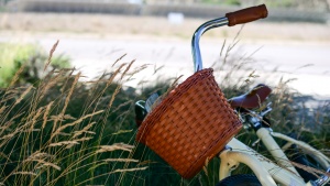 The Vintage comes with a basket on the front for carrying all your...