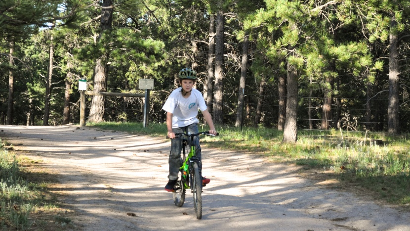 kids bike helmet - the thrasher is a people pleaser when it comes to comfort and style.