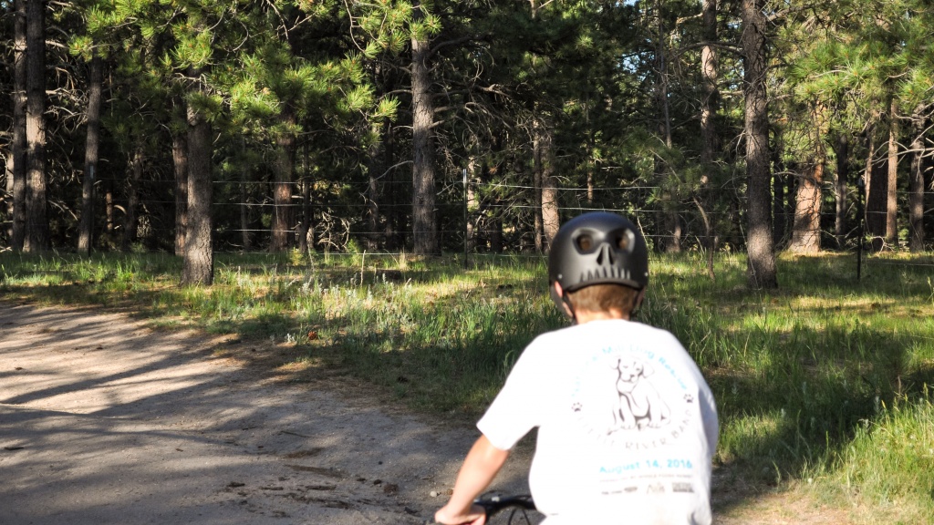 kids bike helmet - depending on your child&#039;s taste or sense of humor, the mongoose...