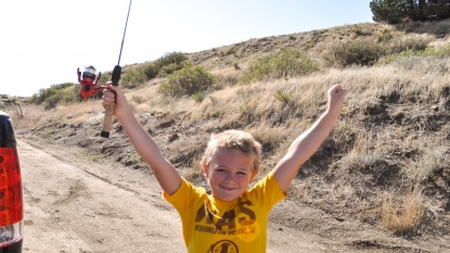 Lead photo for Best Budget-Friendly Pole