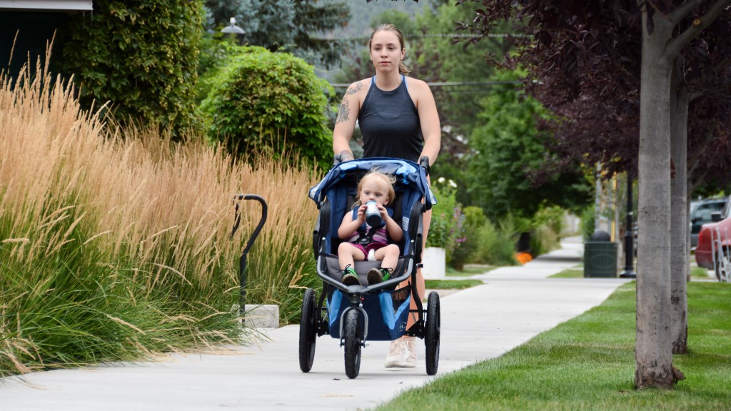 full size stroller - where you plan to stroll, and the terrain you need to traverse can...