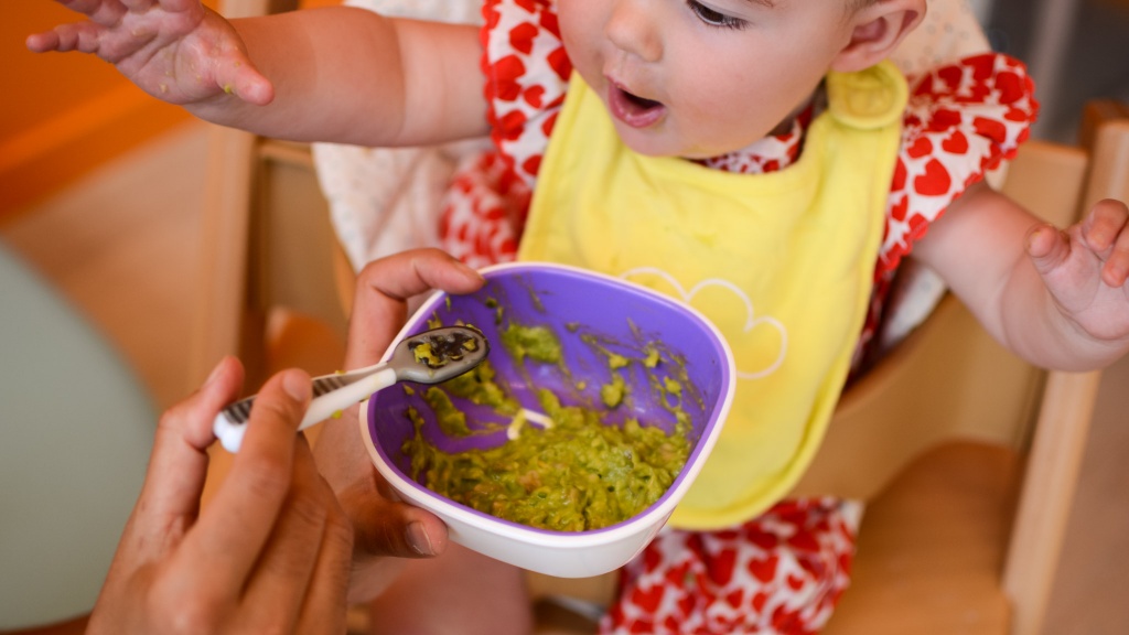 Best Feeding Gear for Babies and Toddlers of 2024