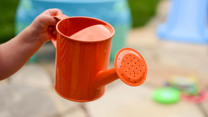kid watering can - some kid watering cans feature a spout, while others have a rosette...