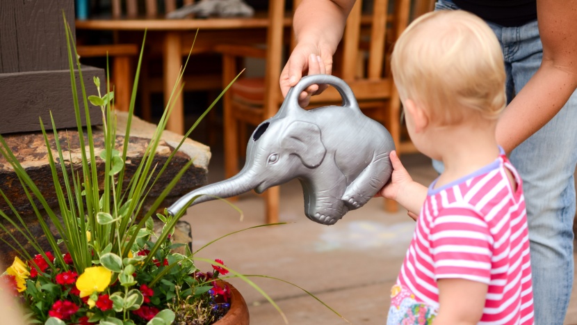 kid watering can - whether you have houseplants or a garden, teach your child how to...