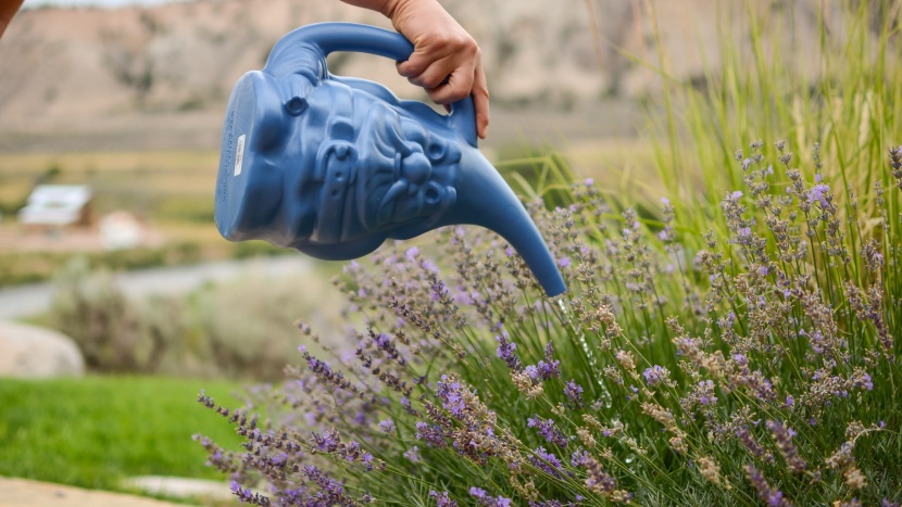 kid watering can - the novelty gnome watering can is large in size and best for older...