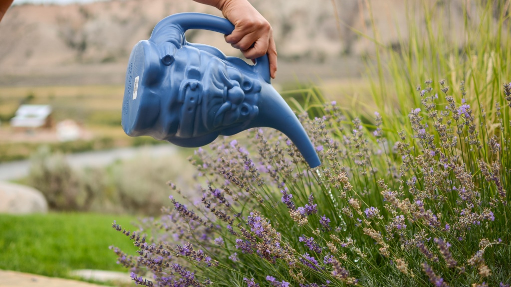 kid watering can - the novelty gnome watering can is large in size and best for older...