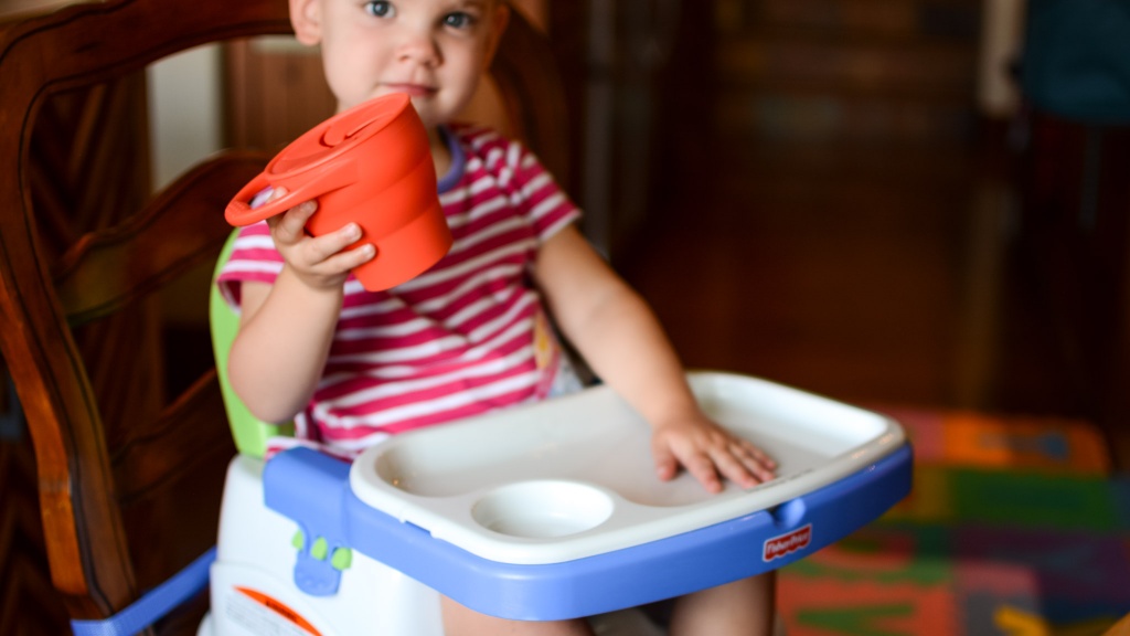 Why We Love the Fisher-Price Healthy Care Deluxe Booster Seat for 2024