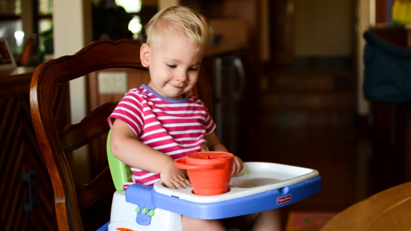 table booster seat - the fisher-price booster is loaded with extras that we think are...