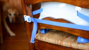The Fisher-Price Healthy Care Deluxe easily secures onto a full-size...