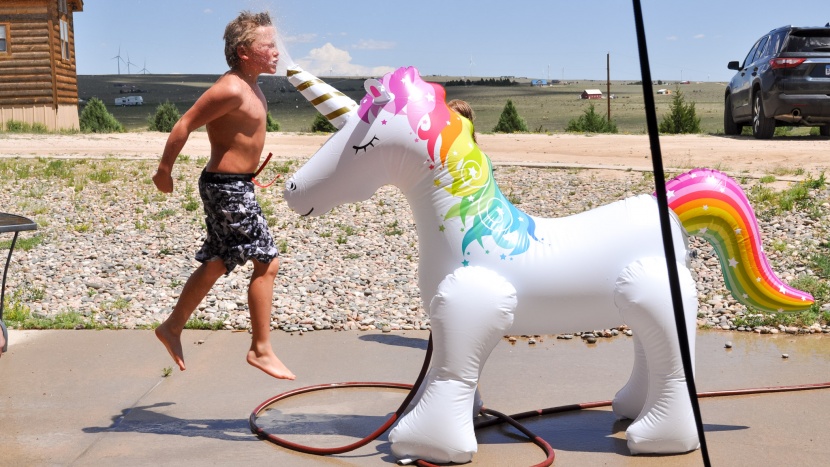 kids sprinkler - there is more than one way to have fun with the water horn of the...