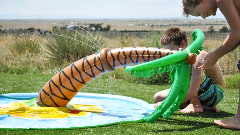 droopy palm trees can be fun for a short while, but overall, this...