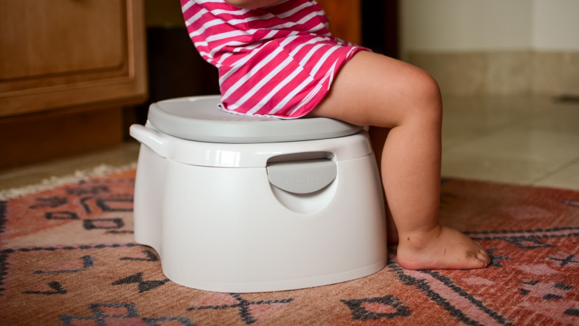 potty chair - the munchkin arm and hammer is a sturdy seat that can also be used...