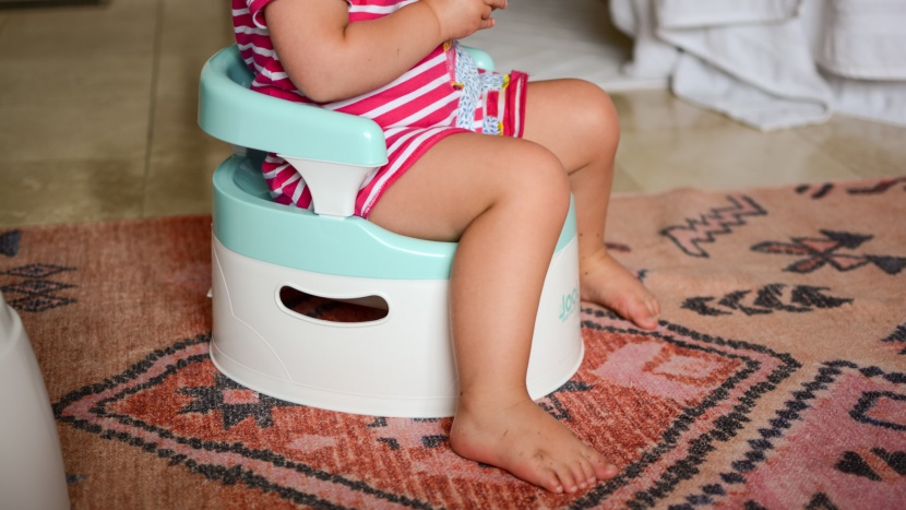potty chair - having seat handles and a good height for toddlers can make a potty...
