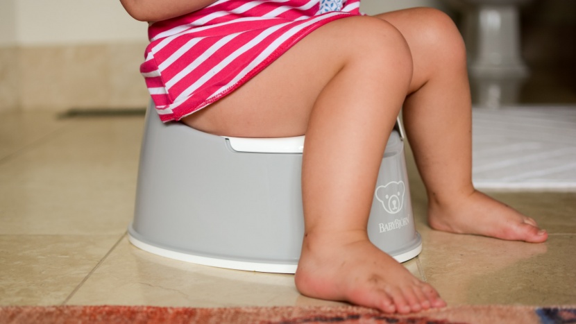 potty chair - the smart potty only has two small pieces and both are easy to clean.